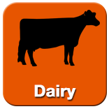 Click here for Dairy