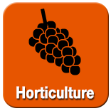 Click here for Horticulture