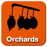 Click here for Orchards